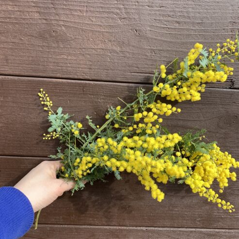 初めてのお花レッスン ミモザの花束リース 午後の部 カヤノ オンラインマガジン 生活を楽しむウェブマガジン